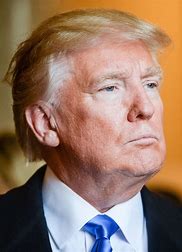 Bildresultat för Trump